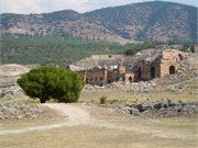 DSCN2100