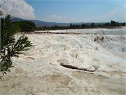 DSCN2114