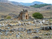 DSCN2119