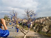 DSCN2198