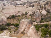 DSCN2221