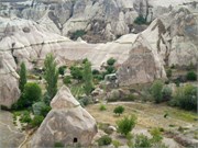 DSCN2223