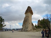 DSCN2231