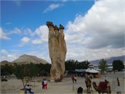 DSCN2233