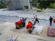 DSCN2274