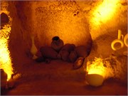 DSCN2278