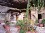 DSCN2288