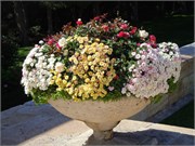 DSCN2294