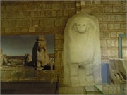 DSCN2311