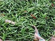 Dhaka_a2015_15