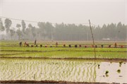 Dhaka-to-Rangpur_19