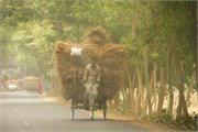 Dhaka-to-Rangpur_23