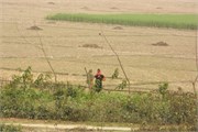 Dhaka-to-Rangpur_35