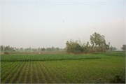Dhaka-to-Rangpur_45