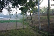 Bangladesh2015_102