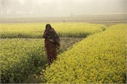 Bangladesh2015_42