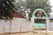 Paraphur_1