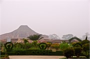 Paraphur_11