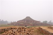 Paraphur_13
