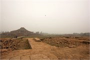 Paraphur_15