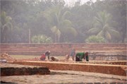 Paraphur_16