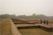 Paraphur_17