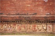 Paraphur_21