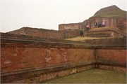 Paraphur_22