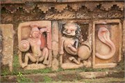 Paraphur_23