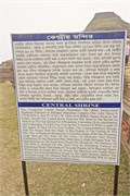 Paraphur_26
