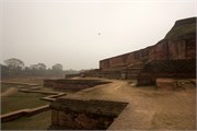 Paraphur_27