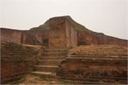 Paraphur_28