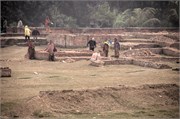 Paraphur_29