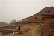 Paraphur_32
