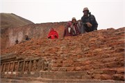 Paraphur_33