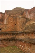 Paraphur_34
