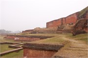 Paraphur_35