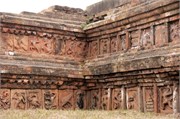 Paraphur_36