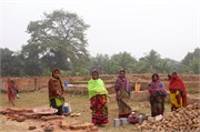 Paraphur_38