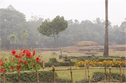 Paraphur_4