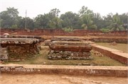 Paraphur_40