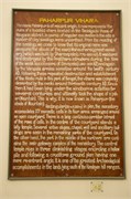 Paraphur_6