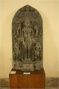 Paraphur_7