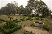 Paraphur_9