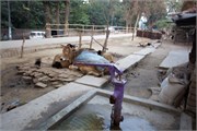 Bangladesh2015a_103