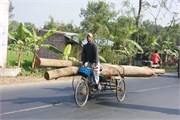 Bangladesh2015a_38