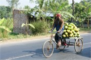 Bangladesh2015a_52