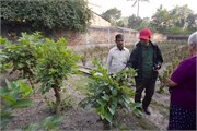 Bangladesh2015a_60