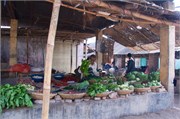 Puthia2015_24