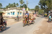 Puthia2015_5